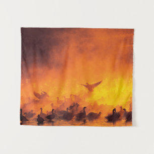 Tapete De Parede Refúgio Nacional de Vida Selvagem Bosque del Apach