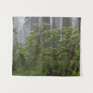 Tapete De Parede Rhododendron no Parque Nacional Redwood Califórnia