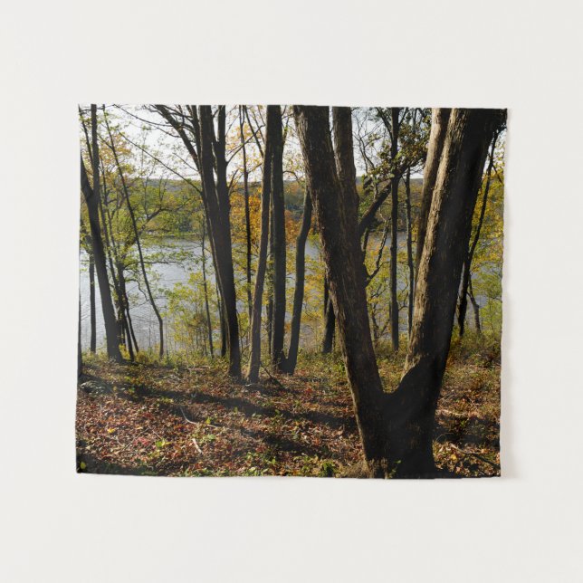Tapete De Parede Rio Connecticut (Frente (Horizontal))