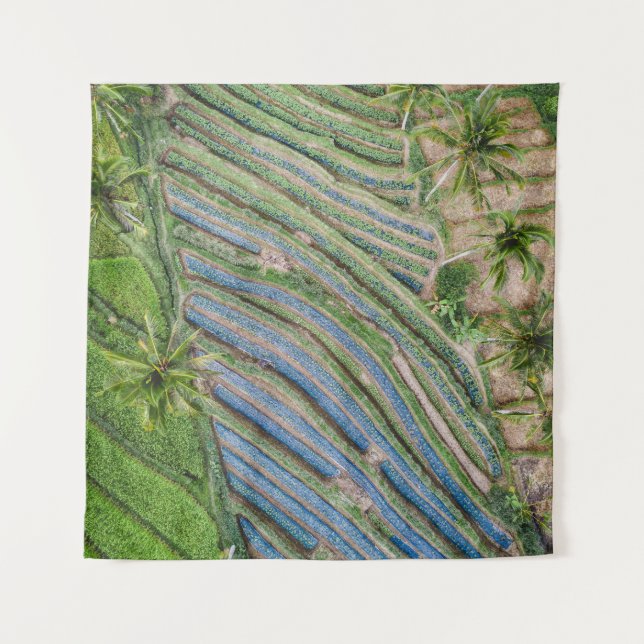 Tapete De Parede Rio entre coqueiros (Frente)