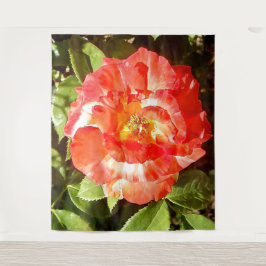 Tapete De Parede Rosa ensolarado.......