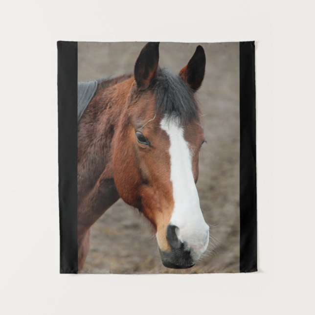 Tapete De Parede Rosto de Cavalo Adorável (Frente)