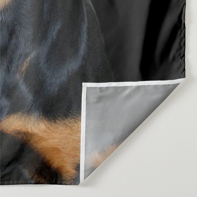 Tapete De Parede Rottweiler (Detalhe)