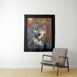 Tapete De Parede Sabedoria de Lobo