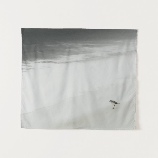 Tapete De Parede Sandpiper costeiro na praia (Frente (Horizontal))