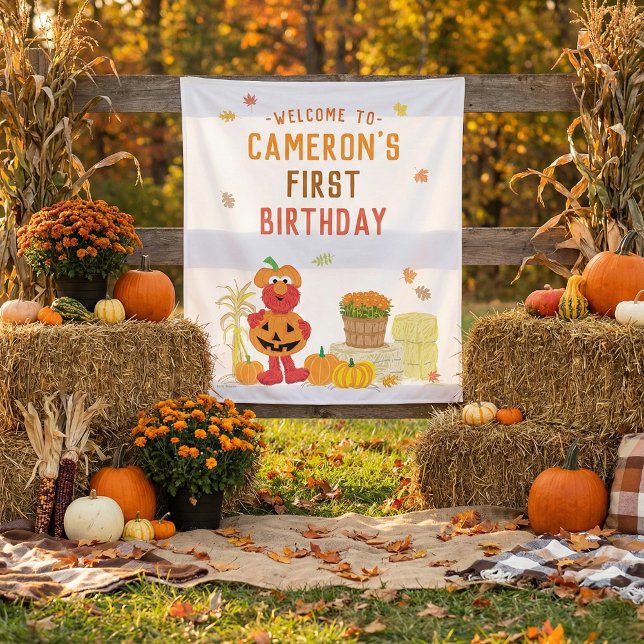 Tapete De Parede Sesame Street - Elmo | Pumpkin First Birthday (Criador carregado)