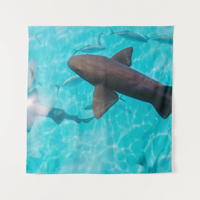 TAPETE DE PAREDE SHARKS ON BODY OF WATER (Frente)