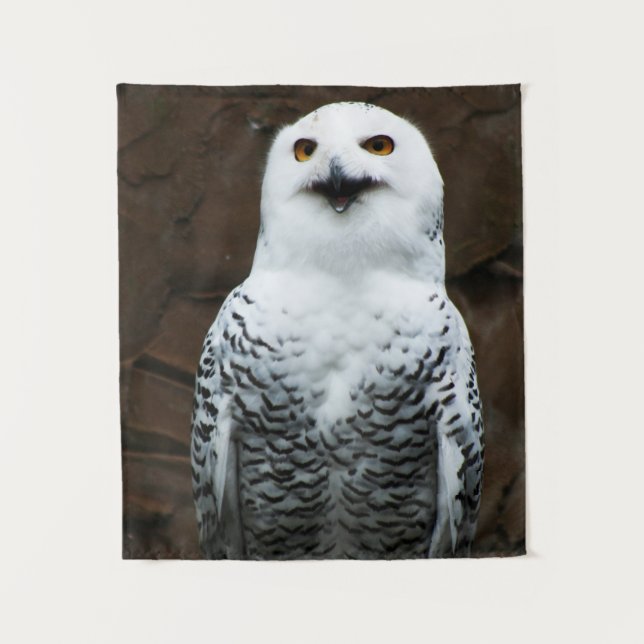Tapete De Parede Snowy Owl wtcna (Frente)