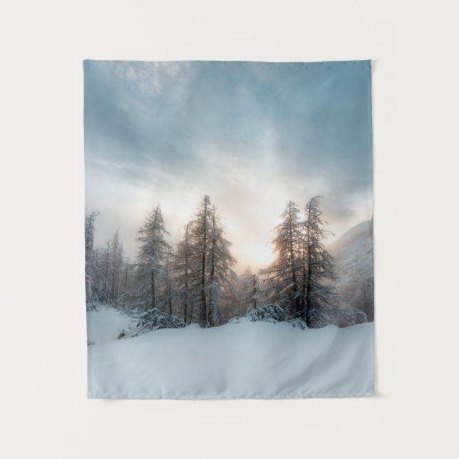 Tapete De Parede Sol atrás das árvores de espadilha (Frente)