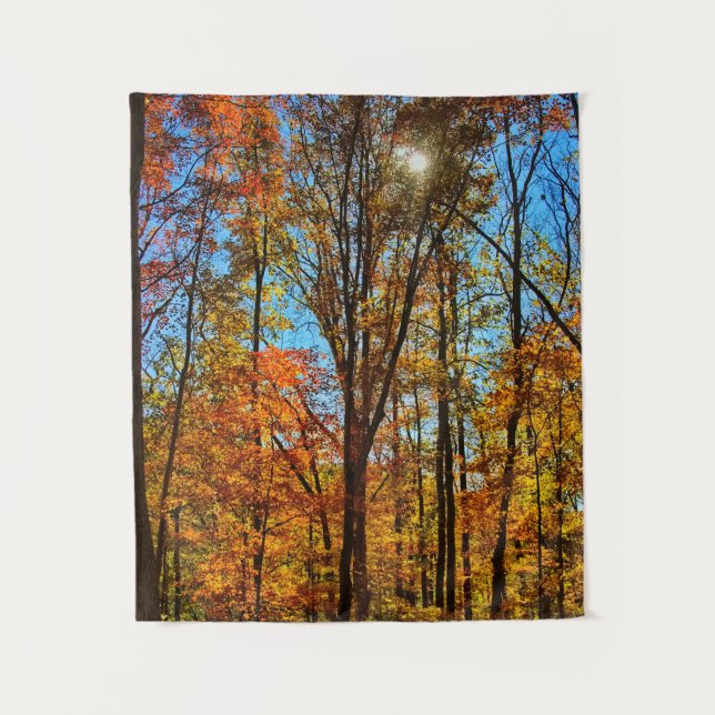 Tapete De Parede Sol através da Floresta de outono (Frente)
