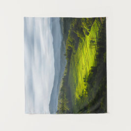 Tapete De Parede Sol brilhando no campo de terraços