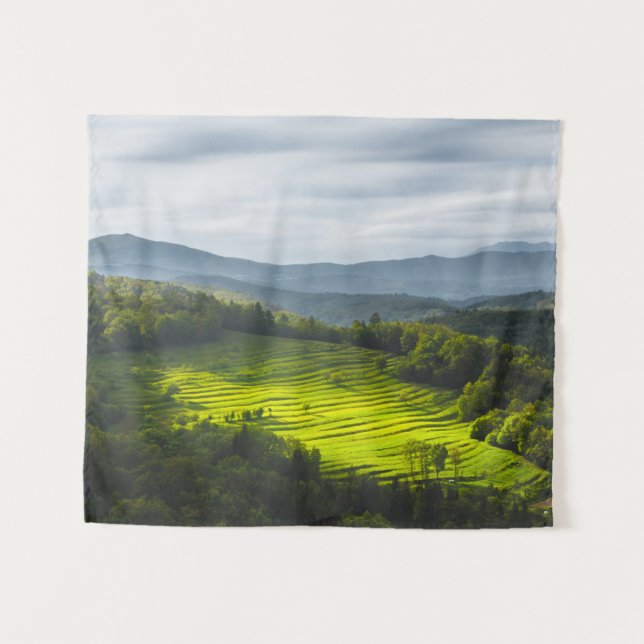 Tapete De Parede Sol brilhando no campo de terraços (Frente (Horizontal))