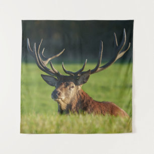Tapete De Parede Stag A Descansar Na Grama Verde