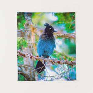 Tapete De Parede Steller's Jay - Fotografia original