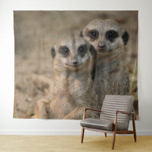 Tapete De Parede Suricata 067