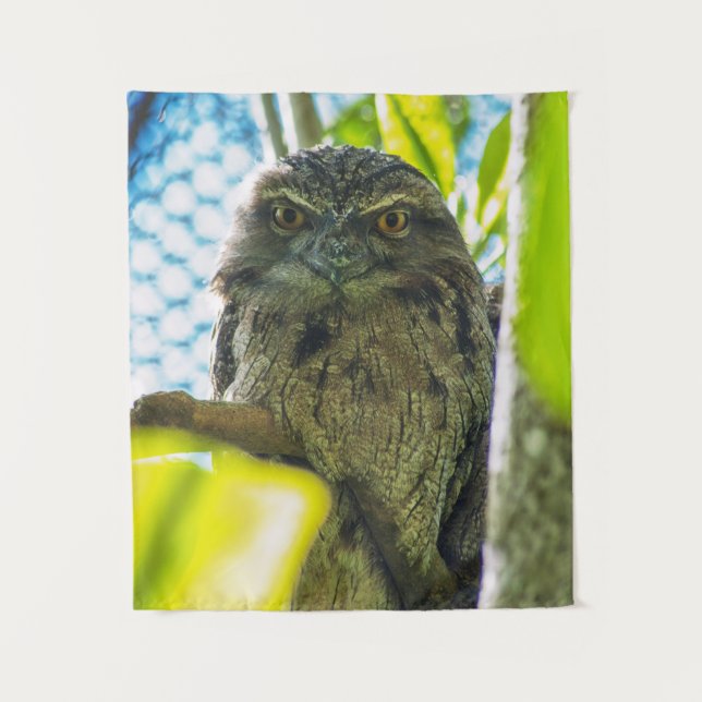 Tapete De Parede Tawny não é coruja (Frente)