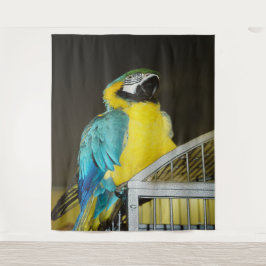 Tapete De Parede Taz.