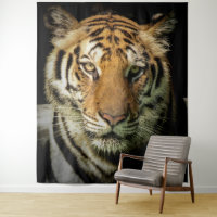 tigre