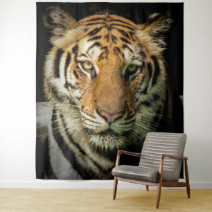 Tapete De Parede tigre