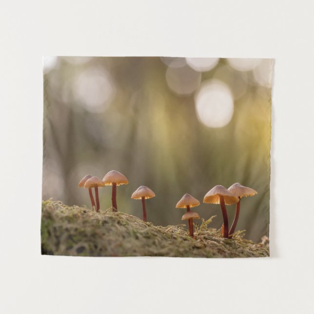 Tapete De Parede Tiny Mushroom Nature Foto (Frente (Horizontal))