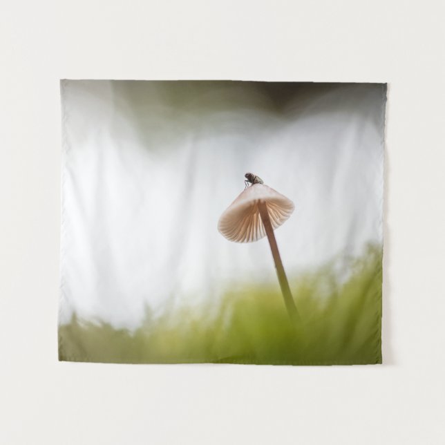 Tapete De Parede Tiny Mushroom Nature Foto (Frente (Horizontal))