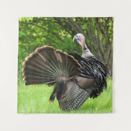 Tapete De Parede Tom Turkey Feather Display