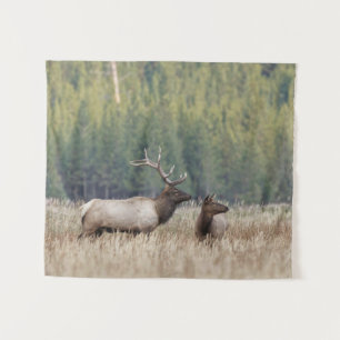 Tapete De Parede Touro Elk em Meadow   Parque Nacional Yellowstone
