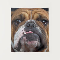 Travesseiro decorativo Inglês Bulldog