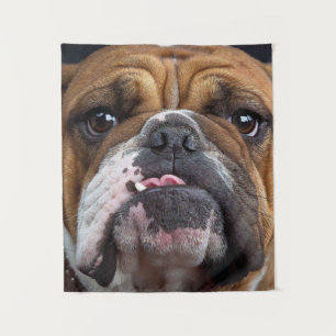 Tapete De Parede Travesseiro decorativo Inglês Bulldog