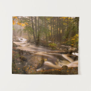 Tapete De Parede Trilhas Fluindo Appalachian Trail Vermont