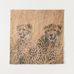TAPETE DE PAREDE TWO CHEETAH SITTING ON FIELD AT DAYTIME