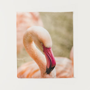 Tapete De Parede Um Belo Flamingo Rosa