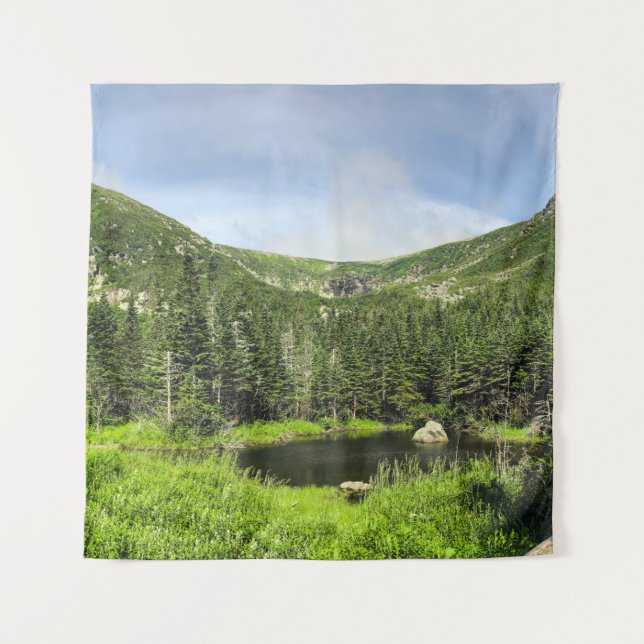 Tapete De Parede Um pequeno lago no vale das montanhas (Frente)