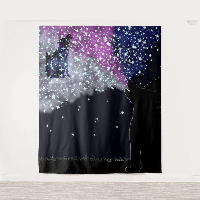 Tapete De Parede Uma noite de verão com Sirius (Frente)