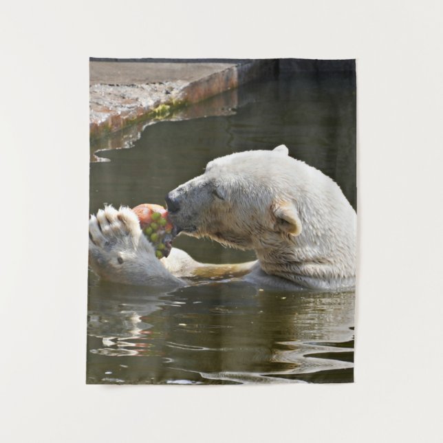 Tapete De Parede Urso Polar Comendo Fruta Vista (Frente)