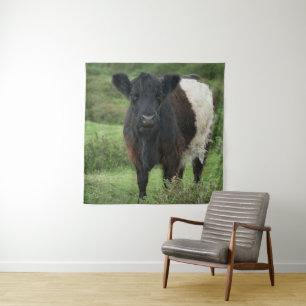 Tapete De Parede Vaca Galloway Belga