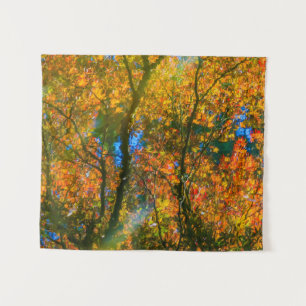 Tapete De Parede Van Dusen Botanical Garden Vancouver, Canadá