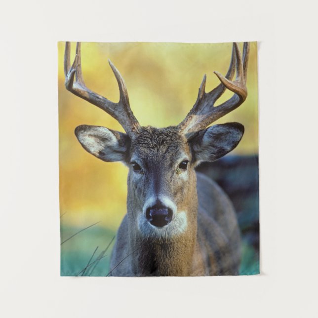 Tapete De Parede Veado Branco | outono (Frente)