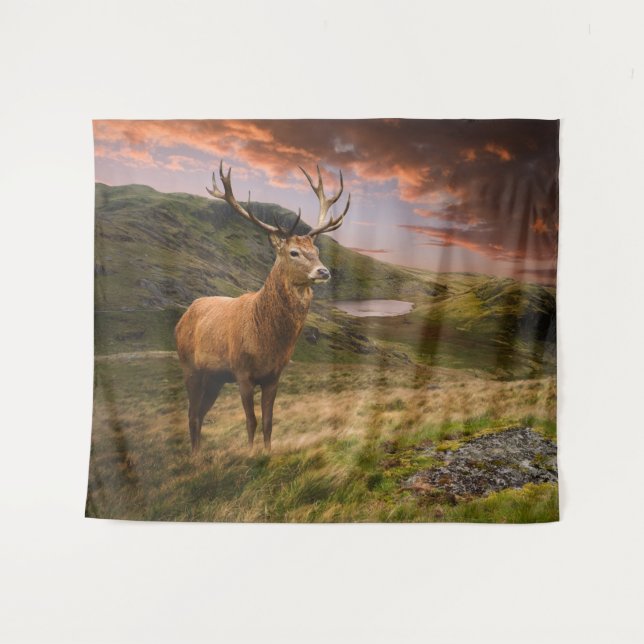 Tapete De Parede Veados vermelhos em paisagens montanhosas dramátic (Frente (Horizontal))