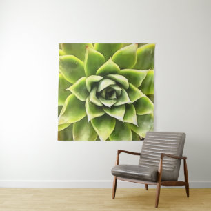 Tapete De Parede Verde Suculta Arte Cactos