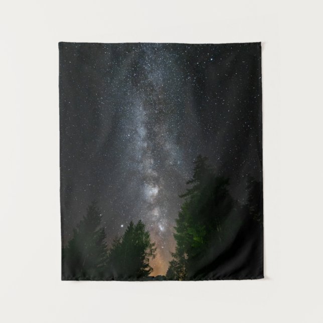 Tapete De Parede Via Látea acima da floresta (Frente)