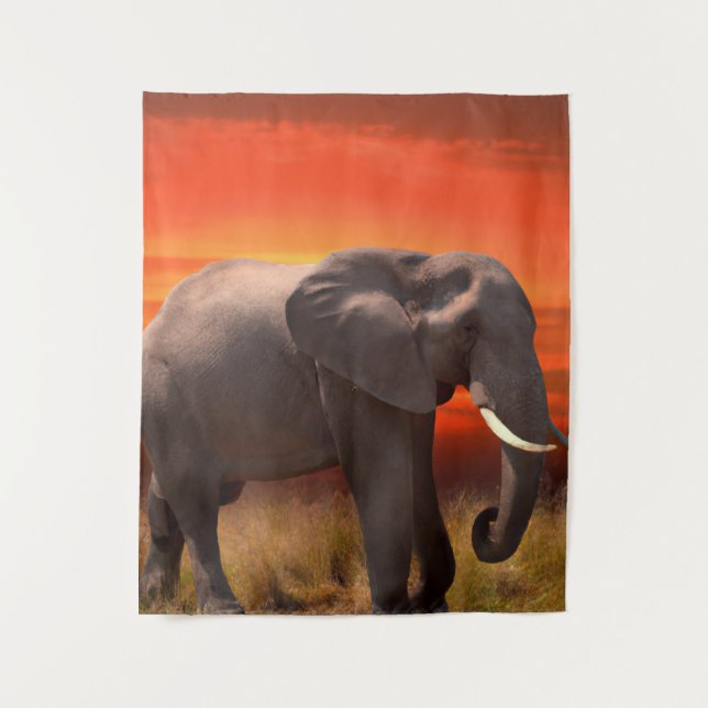Tapete De Parede Wandkleed met Afrikaanse olifant en zonsondergang (Frente)