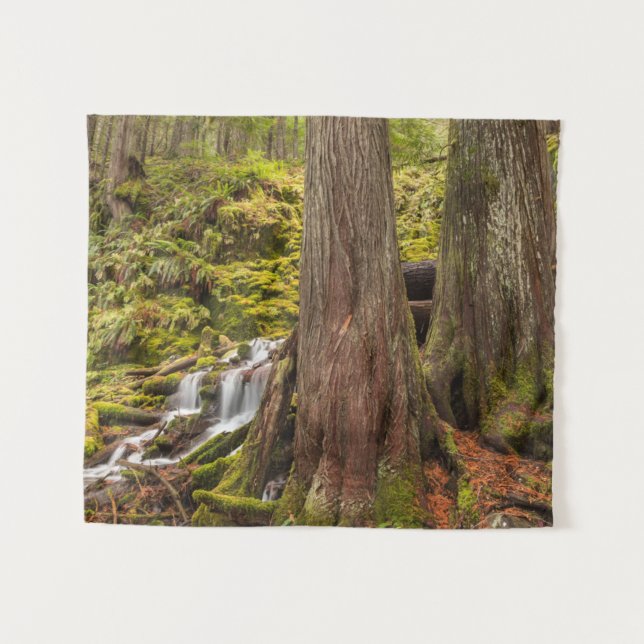 Tapete De Parede White Branch Falls, Oregon Cascades, Oregon (Frente (Horizontal))