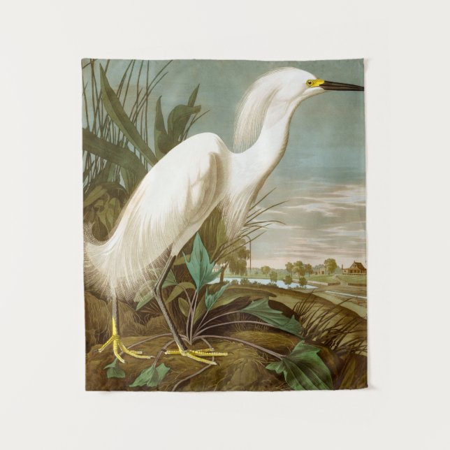 Tapete De Parede White Heron por John James Audubon (Frente)