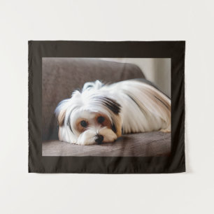 Tapete De Parede Yorkie, Yorkshire Terrier, passando por Ennui