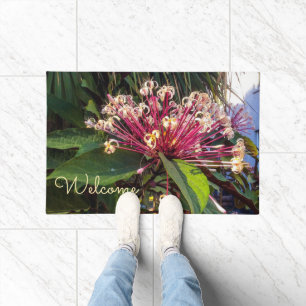 Tapete de Porta Flores Clerodendrum Starburst