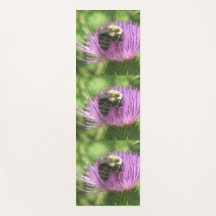 Abelha Sobre O Astro