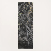 Amor a Árvore Falsa