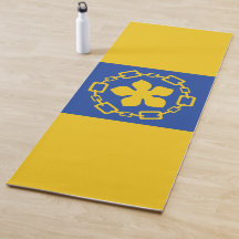 Bandeira de Hamilton (Ontário, Canadá)