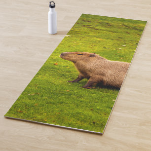 Tapete De Yoga Capivara